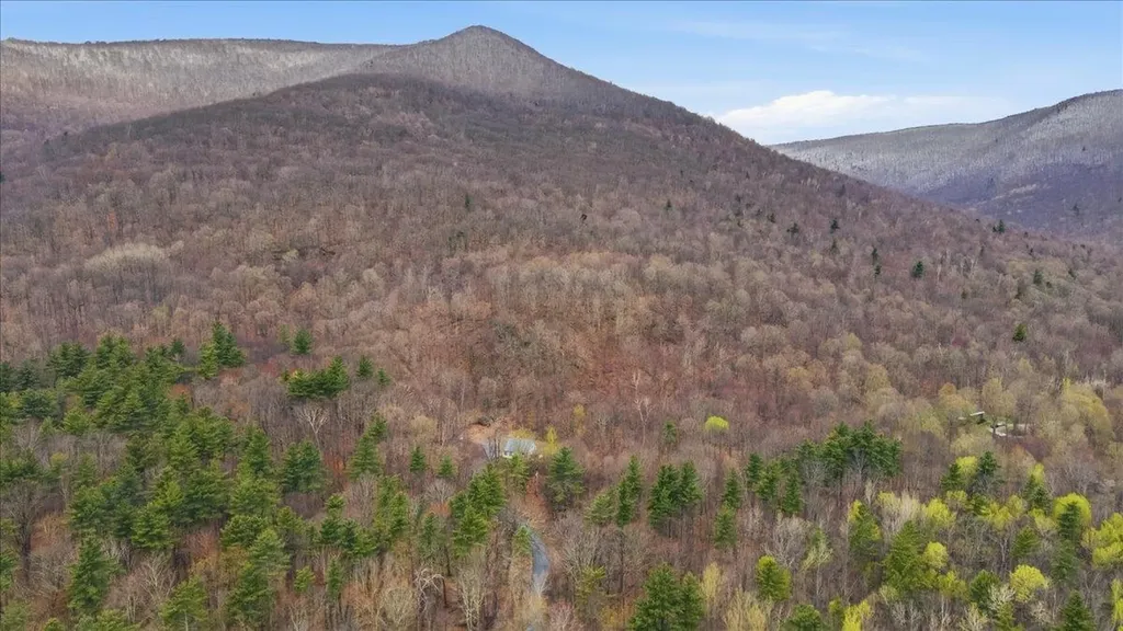 250 Shepherd Lane Arlington VT 05250