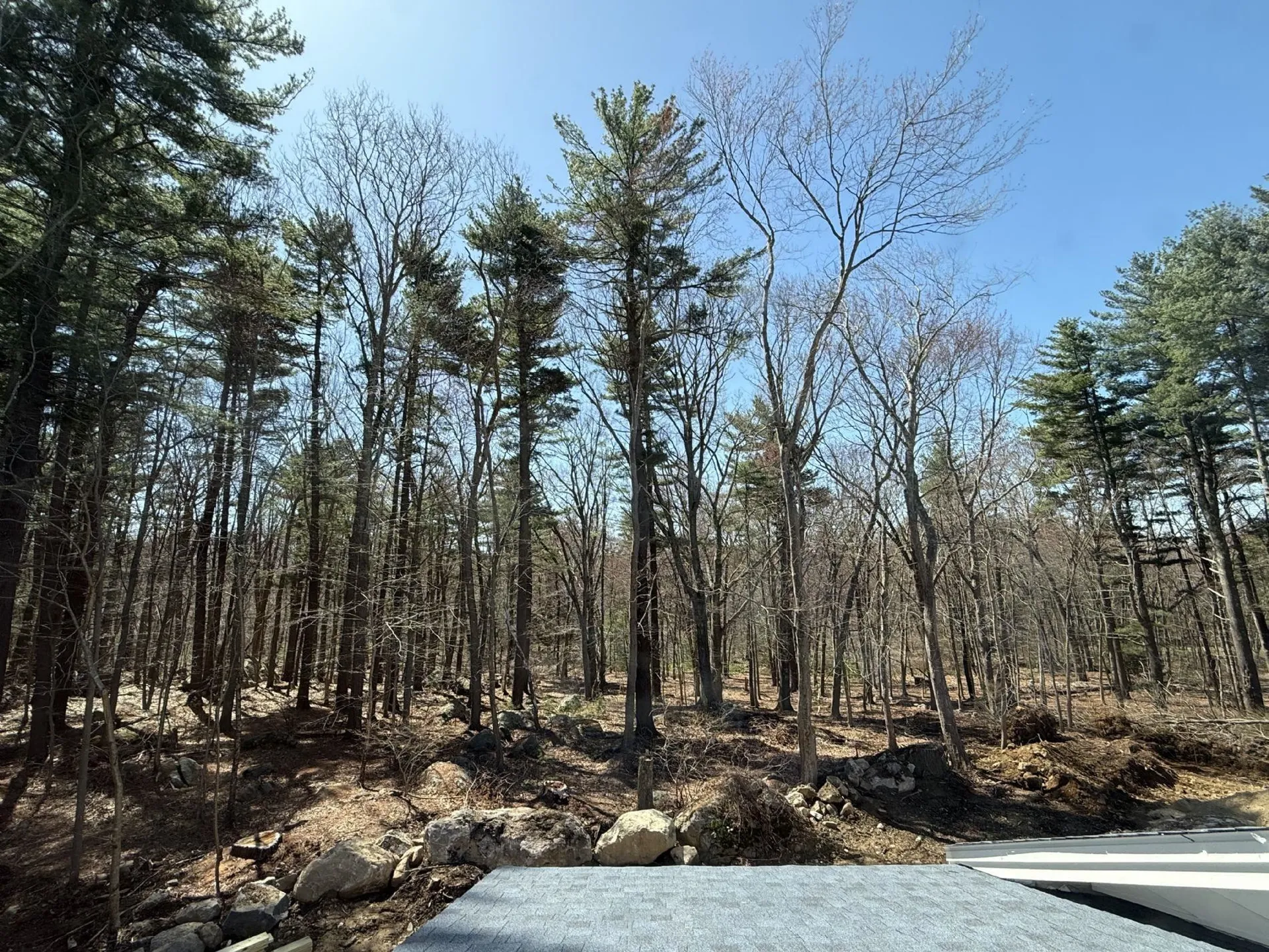 39 Mill Road North Hampton NH 03862