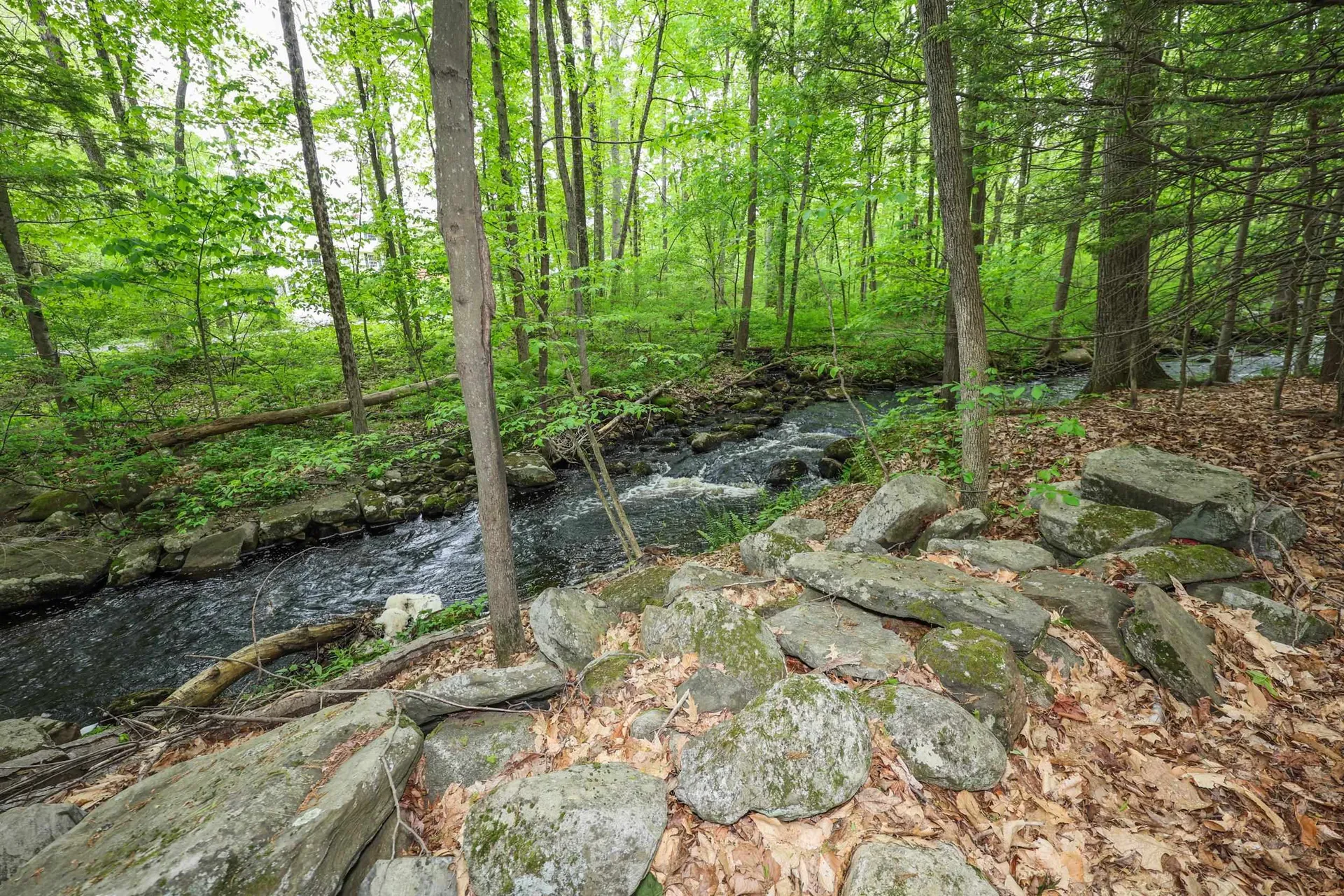 34 Edwards Mill Road Chester NH 03036