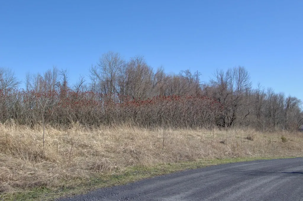 220 Terrapin Lane Alburgh VT 05440