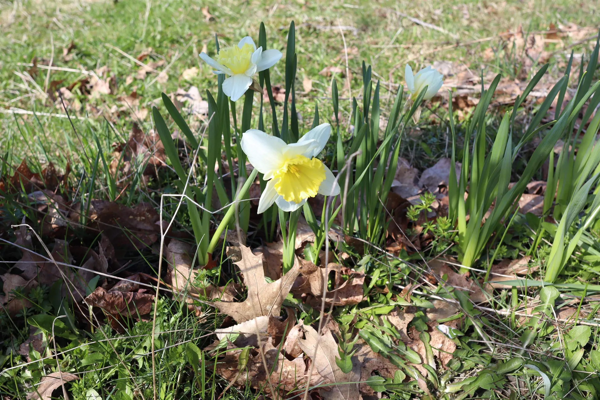 236 Highland Avenue Berlin VT 05641