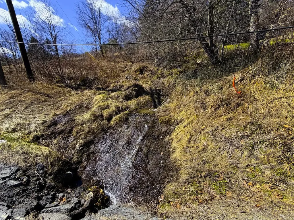10145 Vermont Route 25 Corinth VT 05040