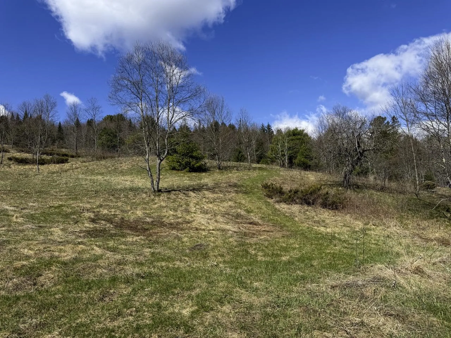 10145 Vermont Route 25 Corinth VT 05040