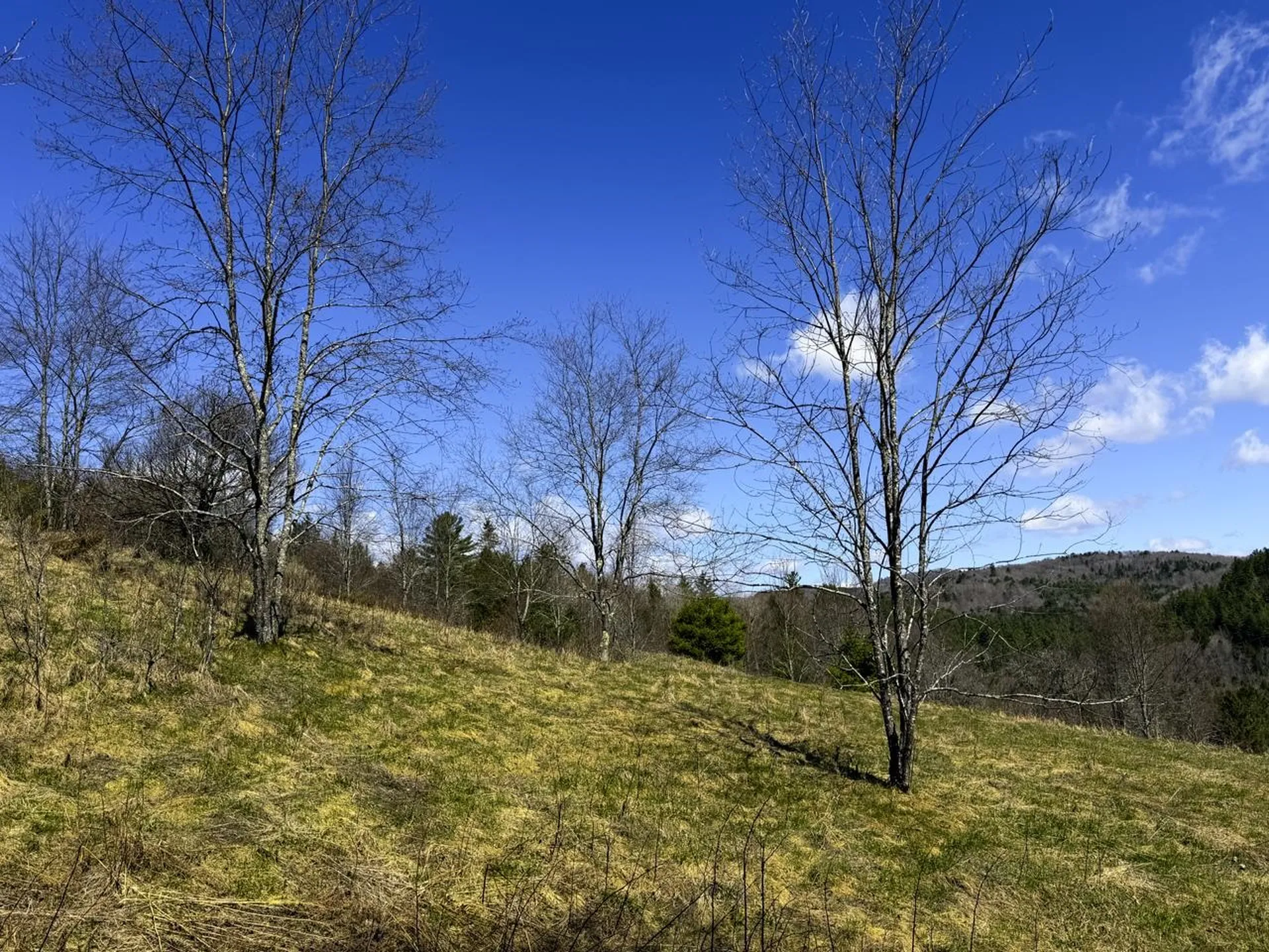 10145 Vermont Route 25 Corinth VT 05040