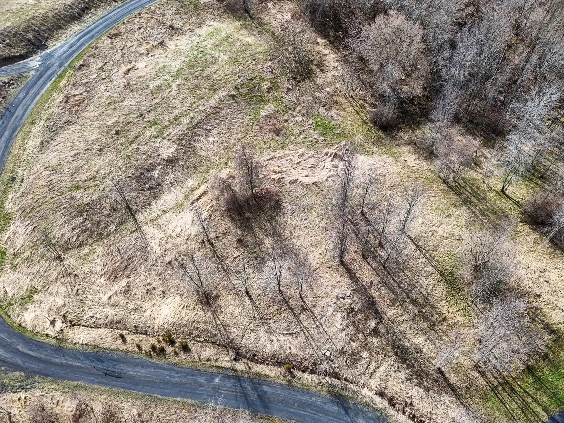 Lot 1 Terrapin Lane Alburgh VT 05440