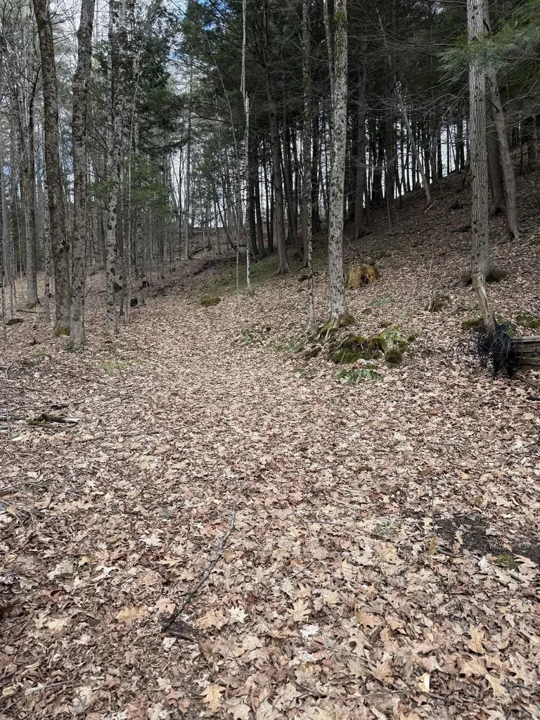 45 Rocky Ridge Road St. Johnsbury VT 05819