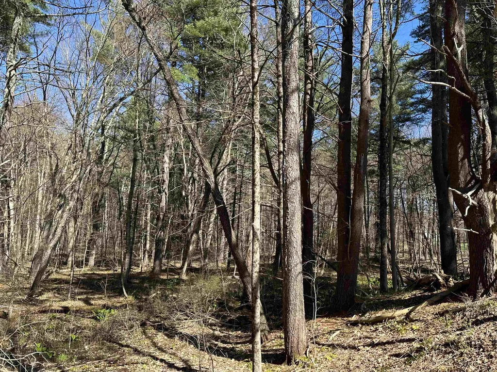 Lot 11-46b Hilliard Road Kensington NH 03833-5516