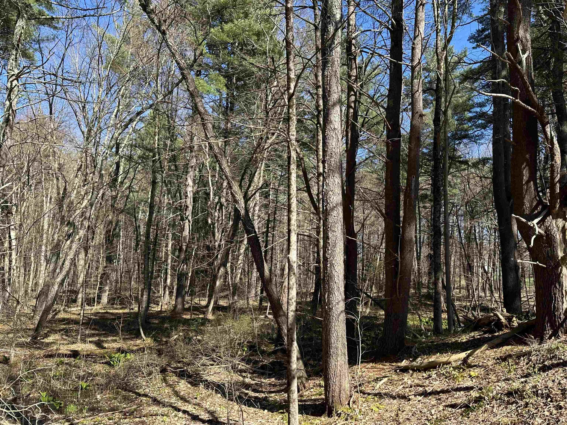 Lot 11-46b Hilliard Road Kensington NH 03833-5516