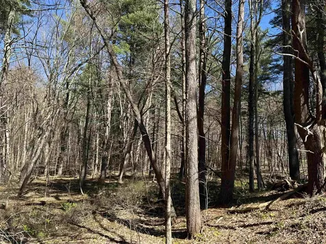 Lot 11-46b Hilliard Road Kensington NH 03833-5516