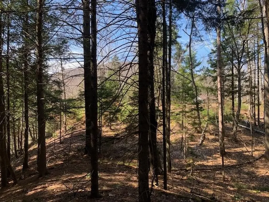 Tbd Vt Route 100 Warren VT 05674