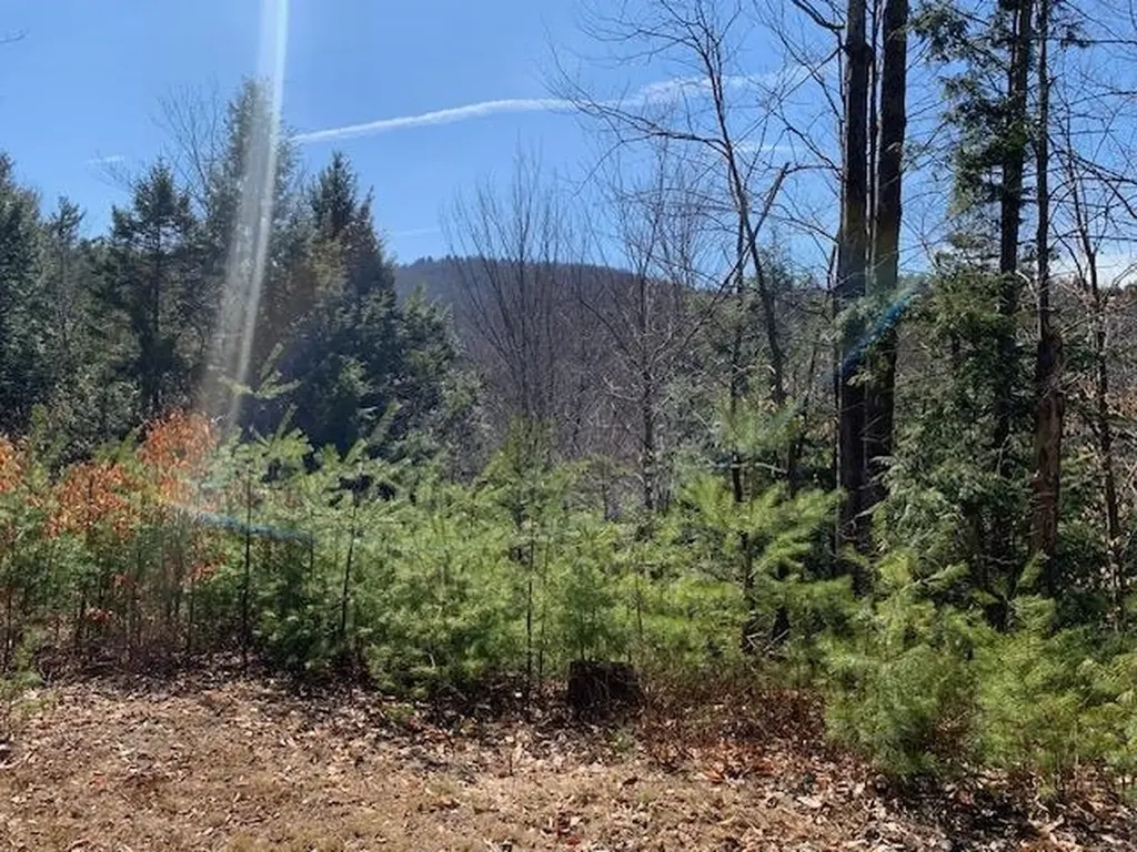 Tbd Vt Route 100 Warren VT 05674