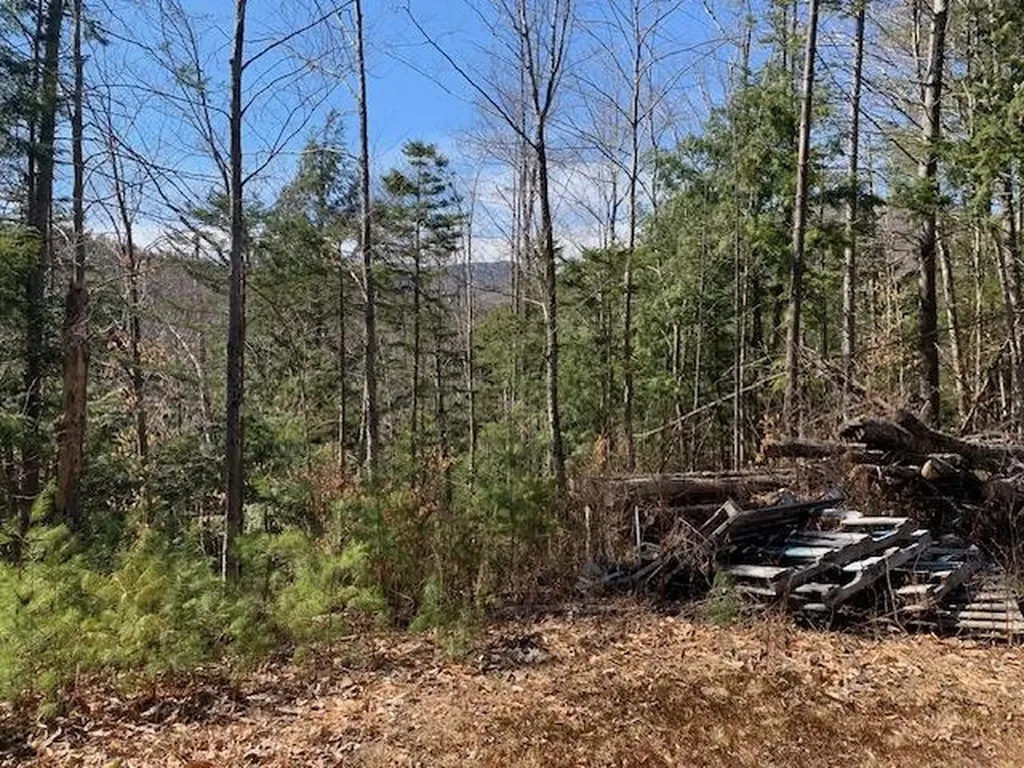 Tbd Vt Route 100 Warren VT 05674