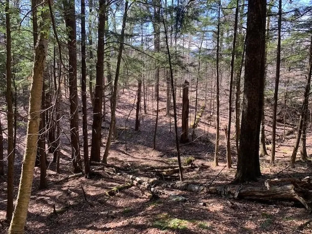 Tbd Vt Route 100 Warren VT 05674