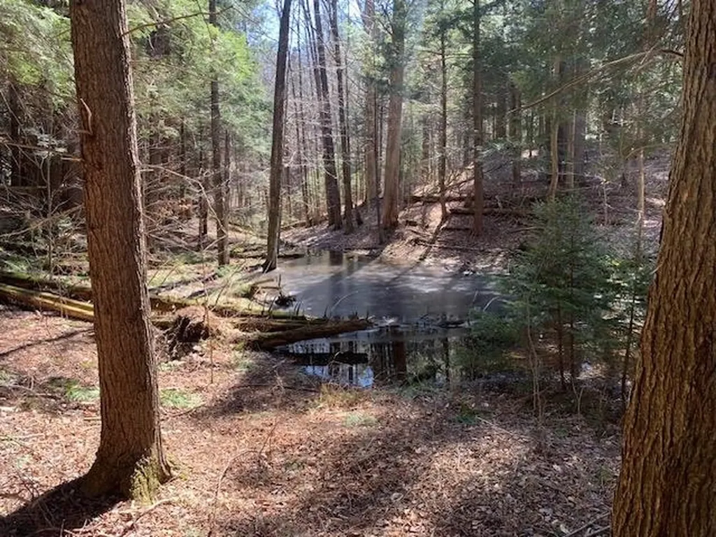 Tbd Vt Route 100 Warren VT 05674
