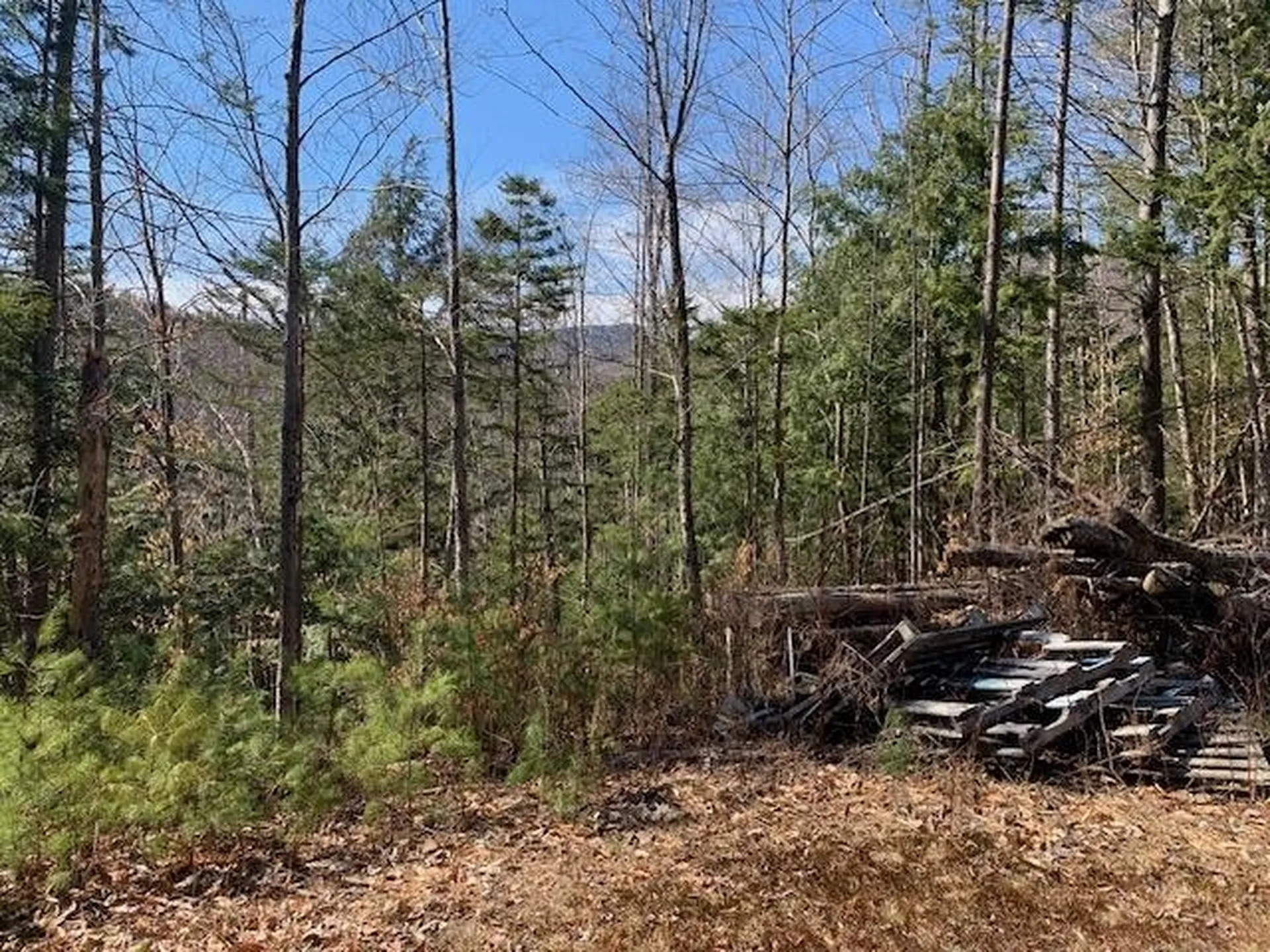 Tbd Vt Route 100 Warren VT 05674