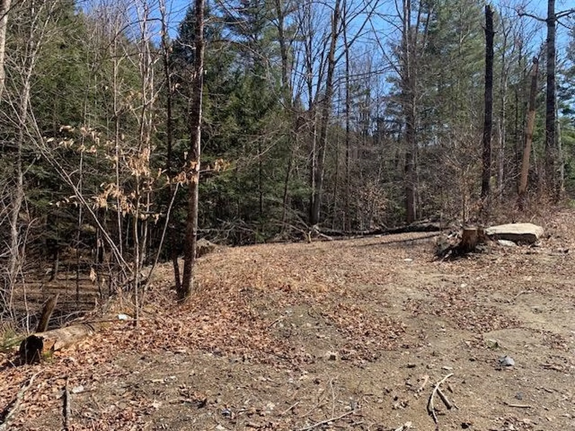 Tbd Vt Route 100 Warren VT 05674