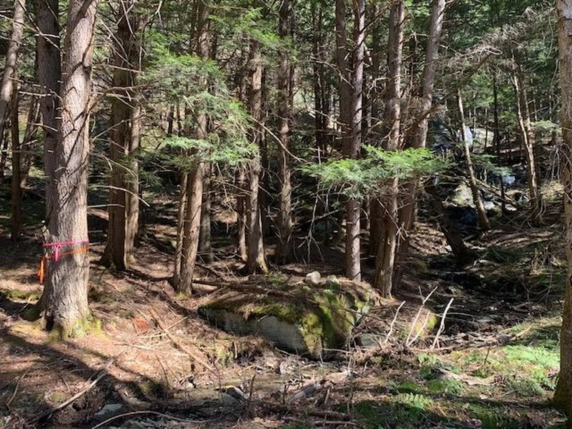 Tbd Vt Route 100 Warren VT 05674