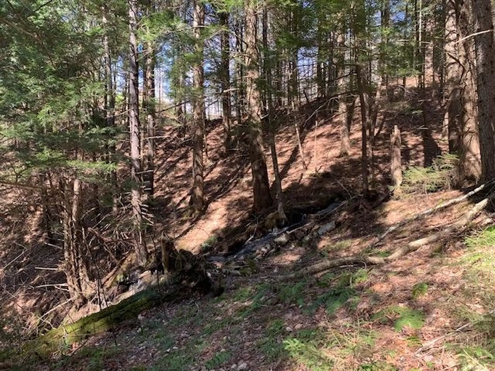 Tbd Vt Route 100 Warren VT 05674