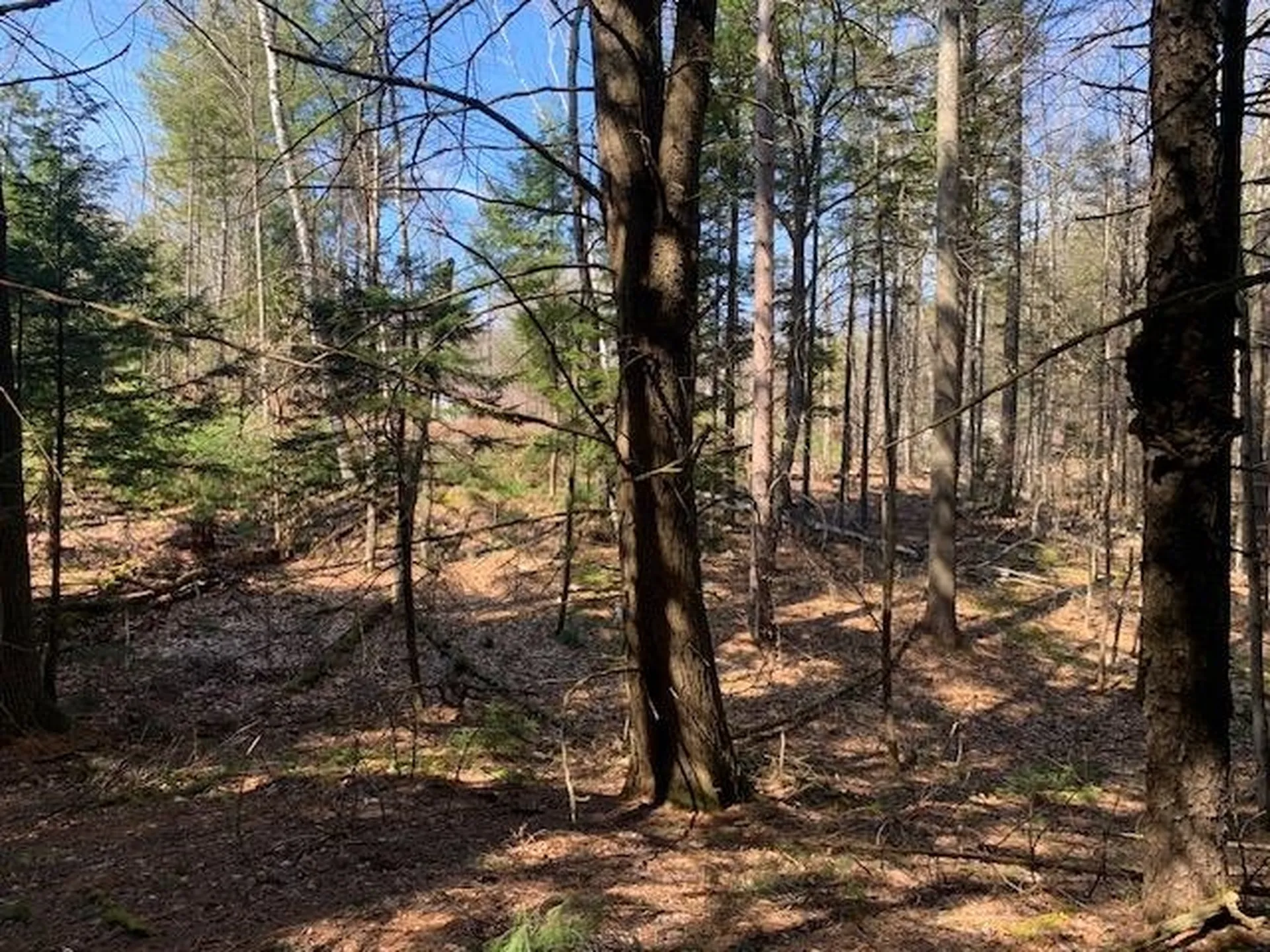 Tbd Vt Route 100 Warren VT 05674