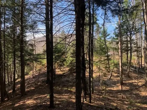 Tbd Vt Route 100 Warren VT 05674