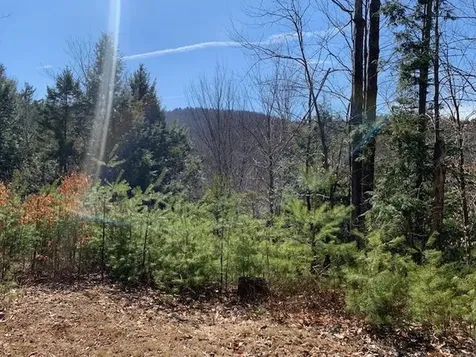 Tbd Vt Route 100 Warren VT 05674
