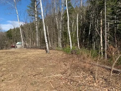 Tbd Vt Route 100 Warren VT 05674