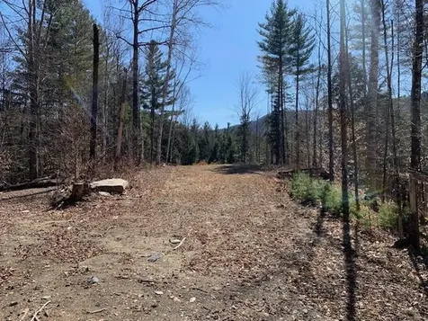 Tbd Vt Route 100 Warren VT 05674