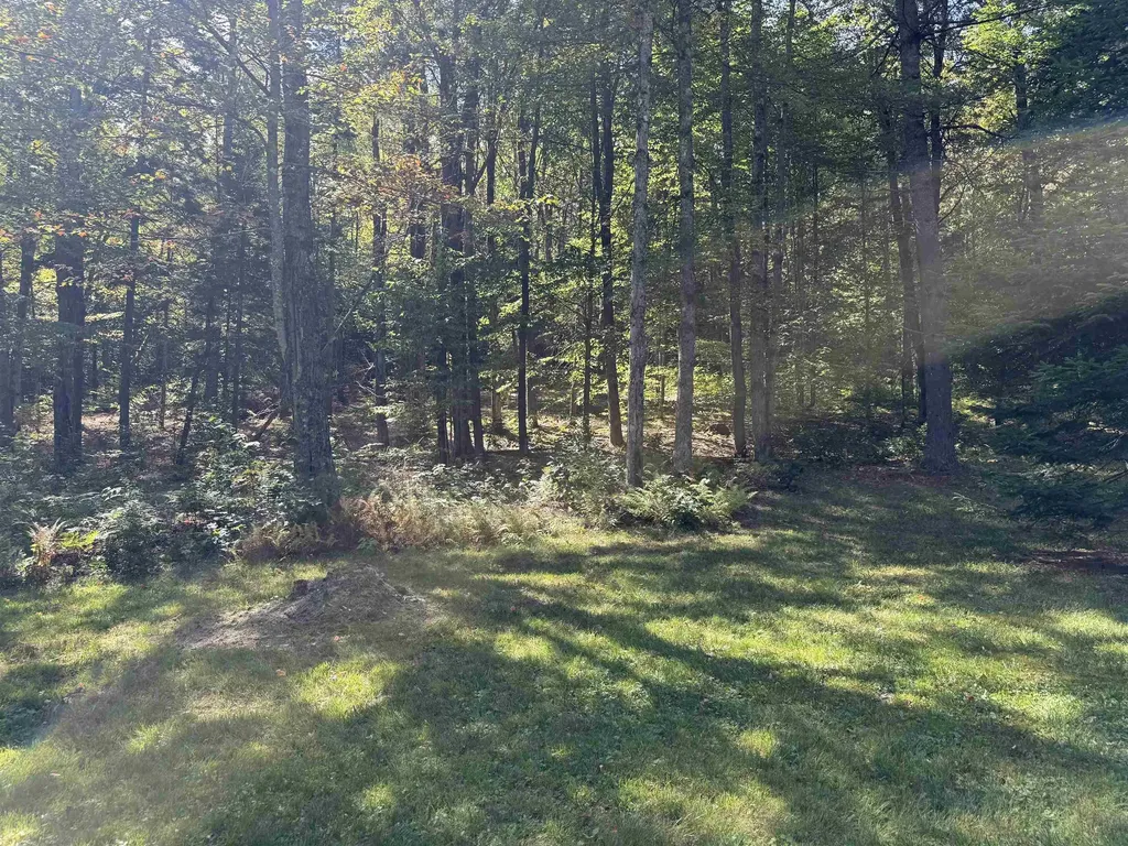 547 Williams Road Chester VT 05143