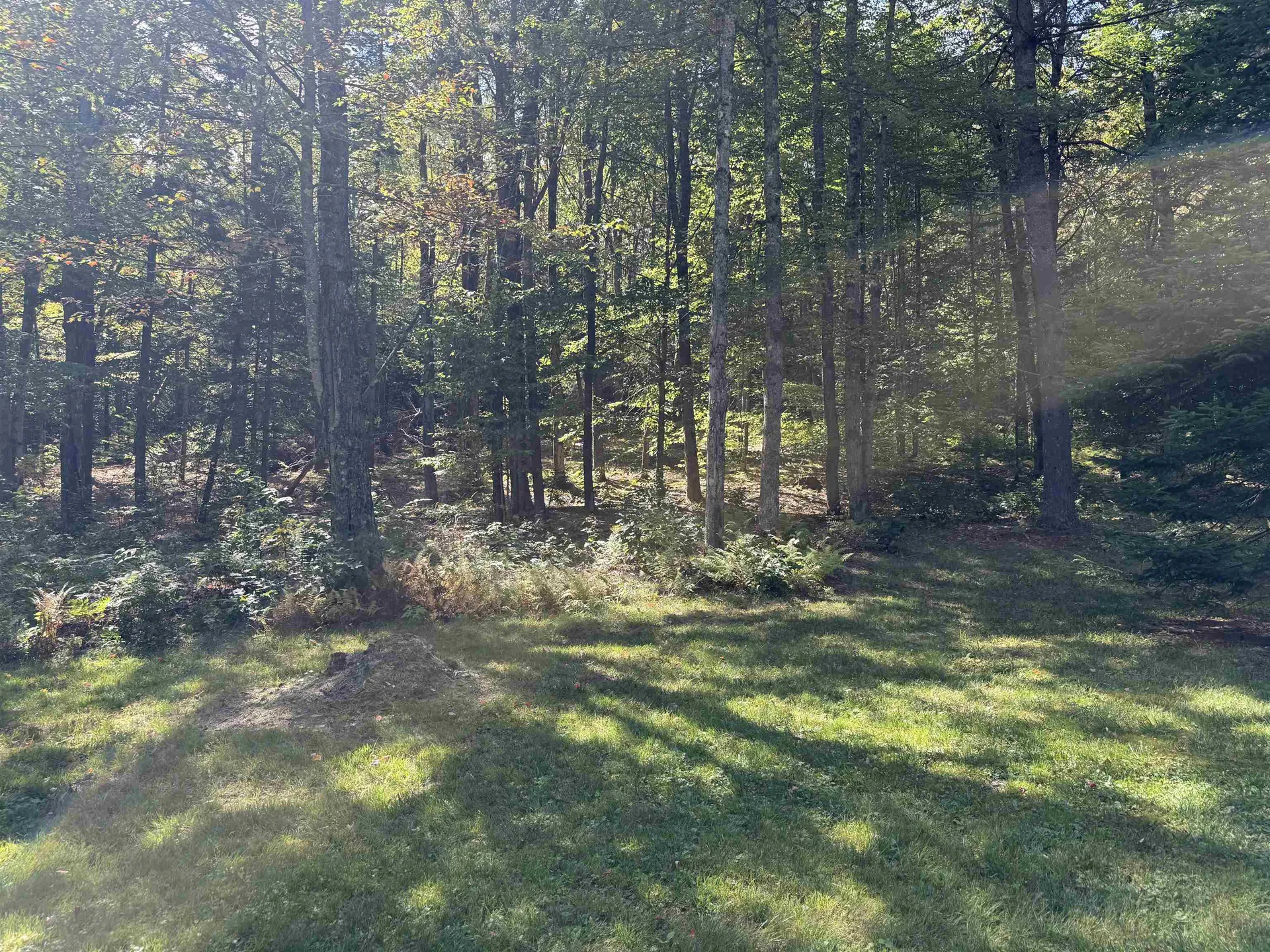 547 Williams Road Chester VT 05143