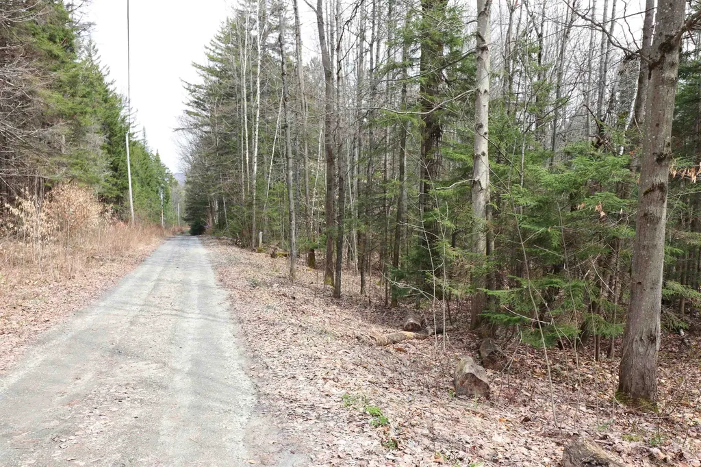 600 Woods Road South Warren VT 05674