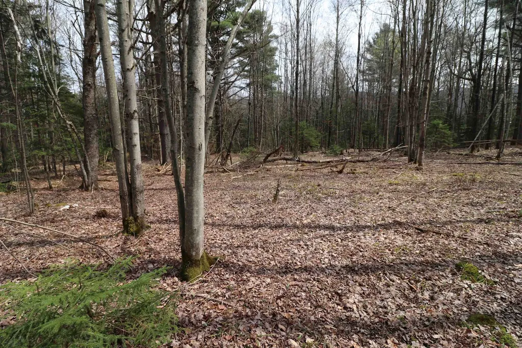 600 Woods Road South Warren VT 05674
