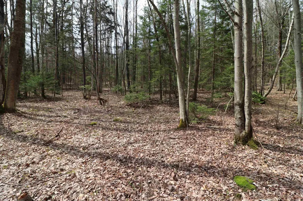 600 Woods Road South Warren VT 05674