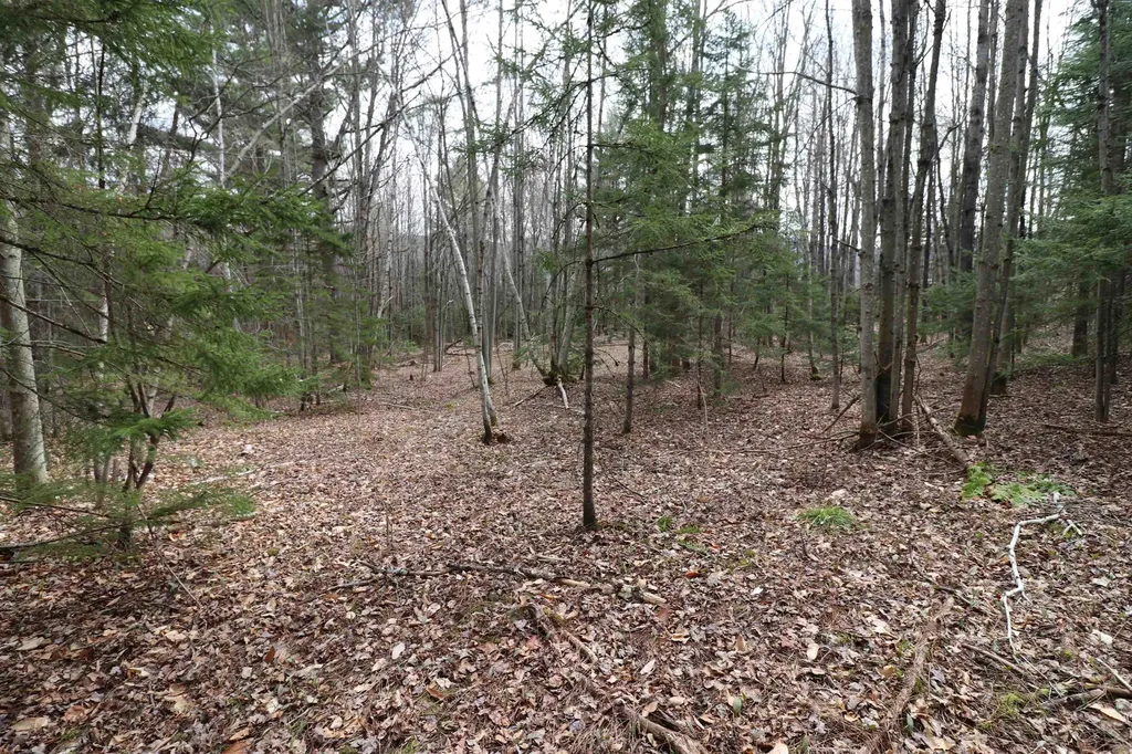 600 Woods Road South Warren VT 05674