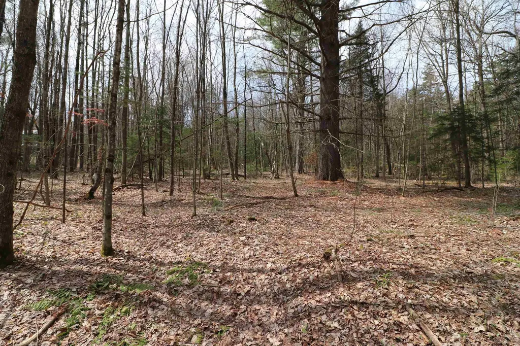 600 Woods Road South Warren VT 05674