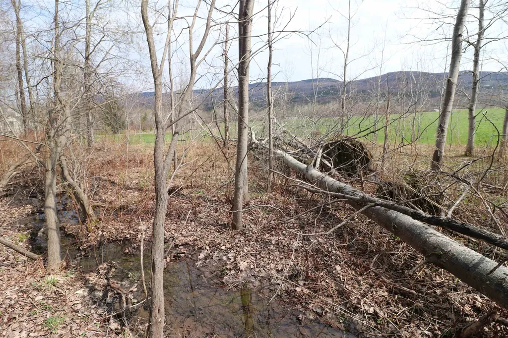 600 Woods Road South Warren VT 05674