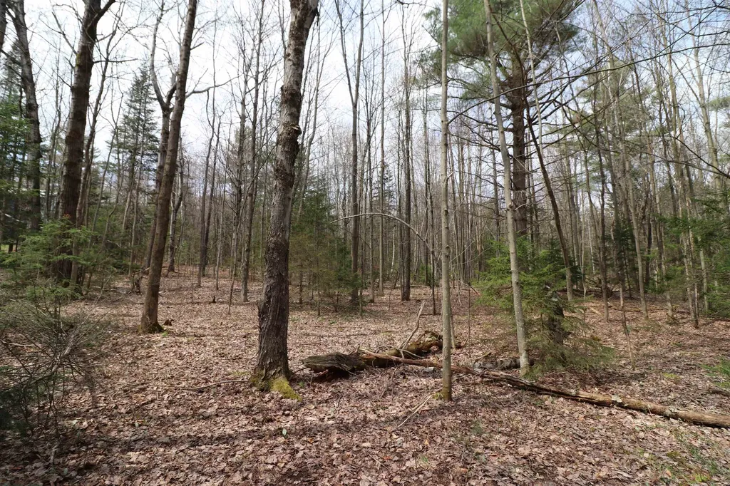 600 Woods Road South Warren VT 05674