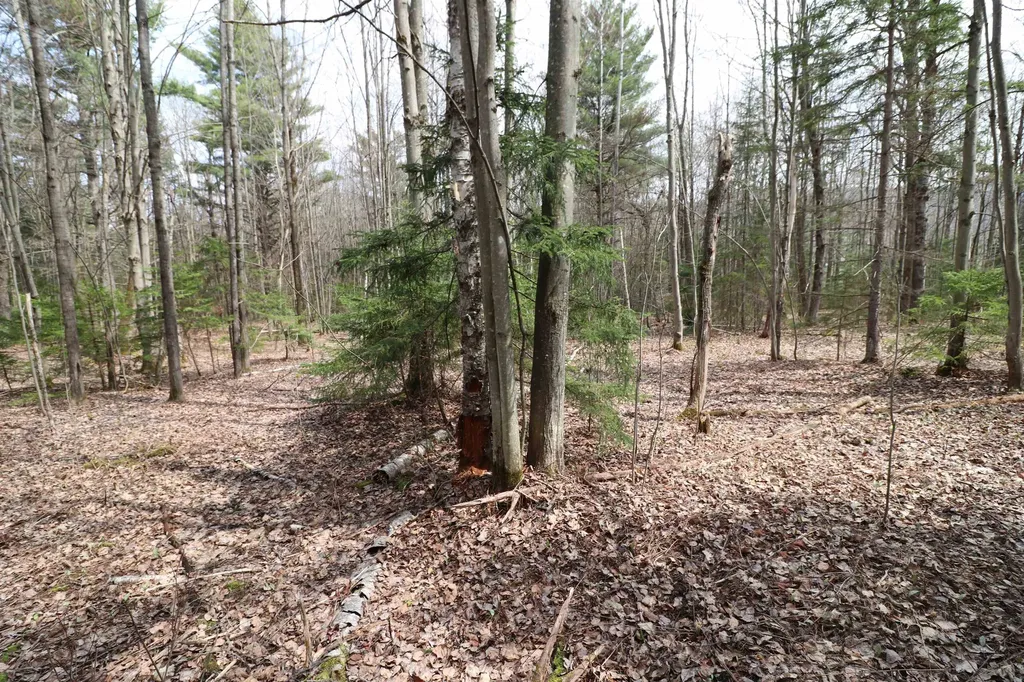 600 Woods Road South Warren VT 05674