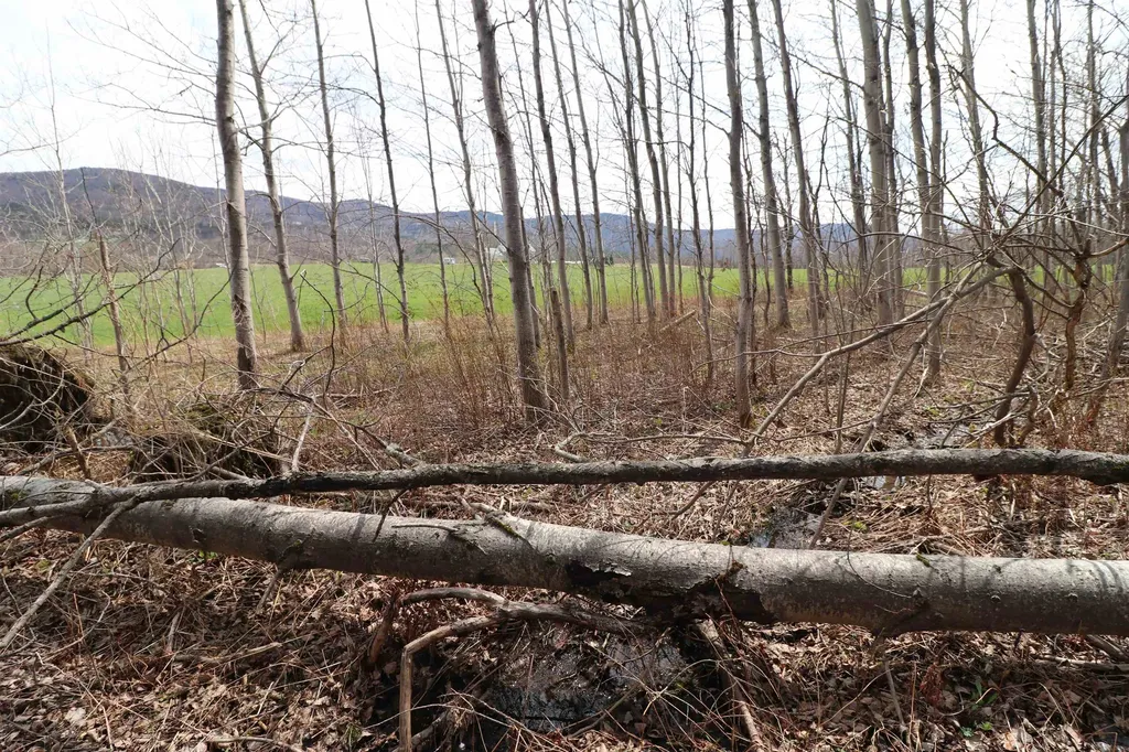 600 Woods Road South Warren VT 05674