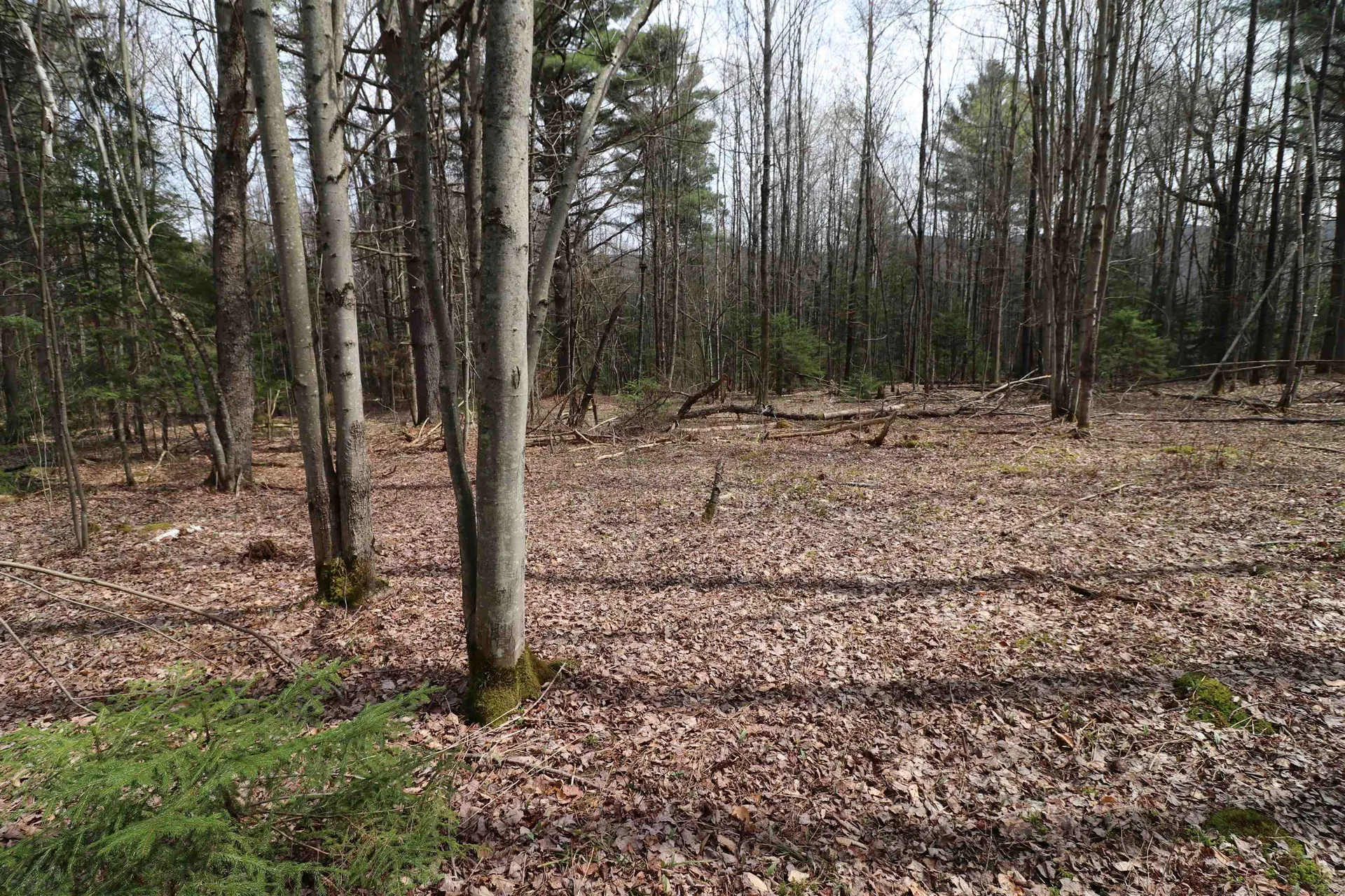 600 Woods Road South Warren VT 05674
