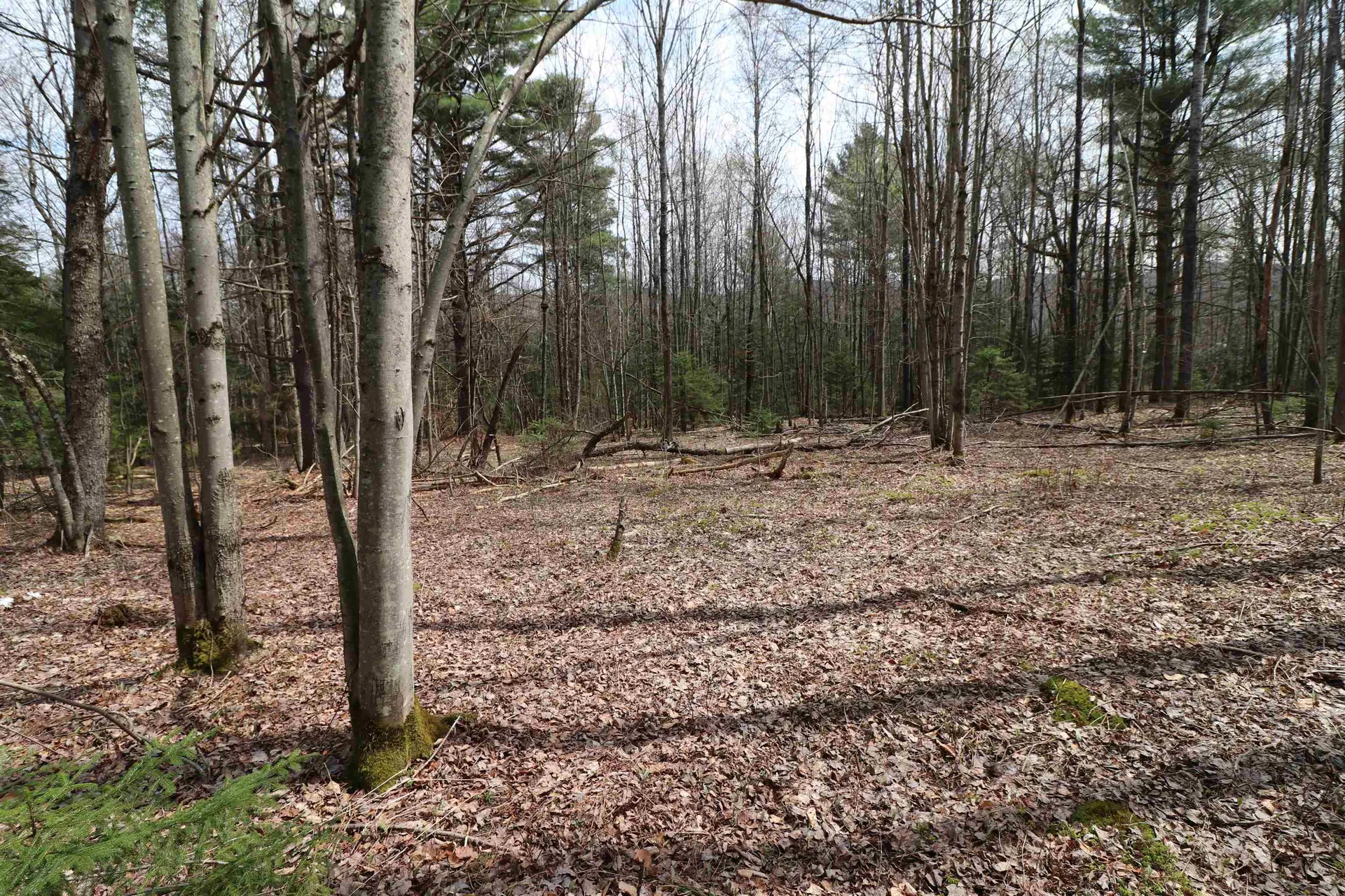 600 Woods Road South Warren VT 05674