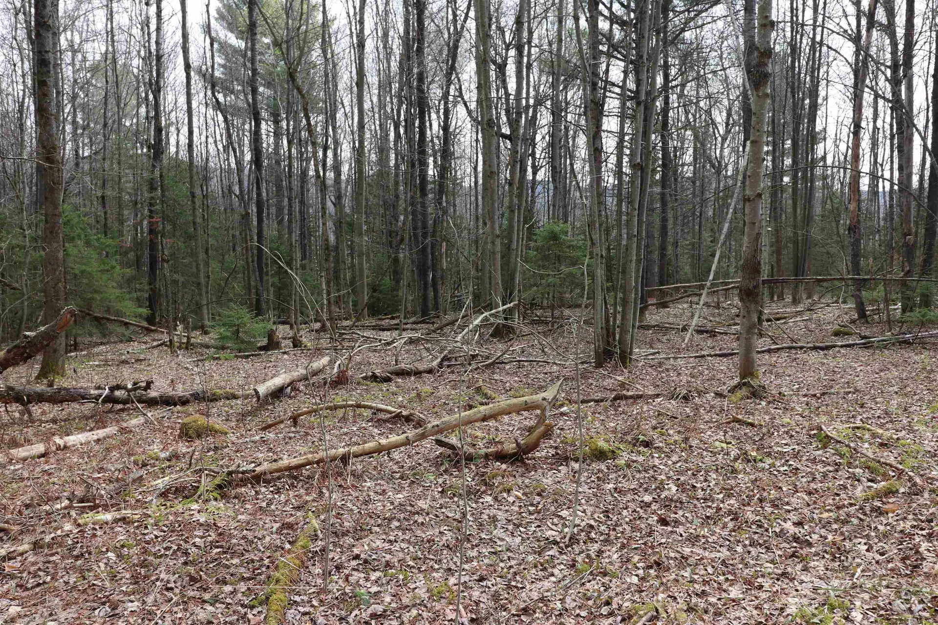 600 Woods Road South Warren VT 05674