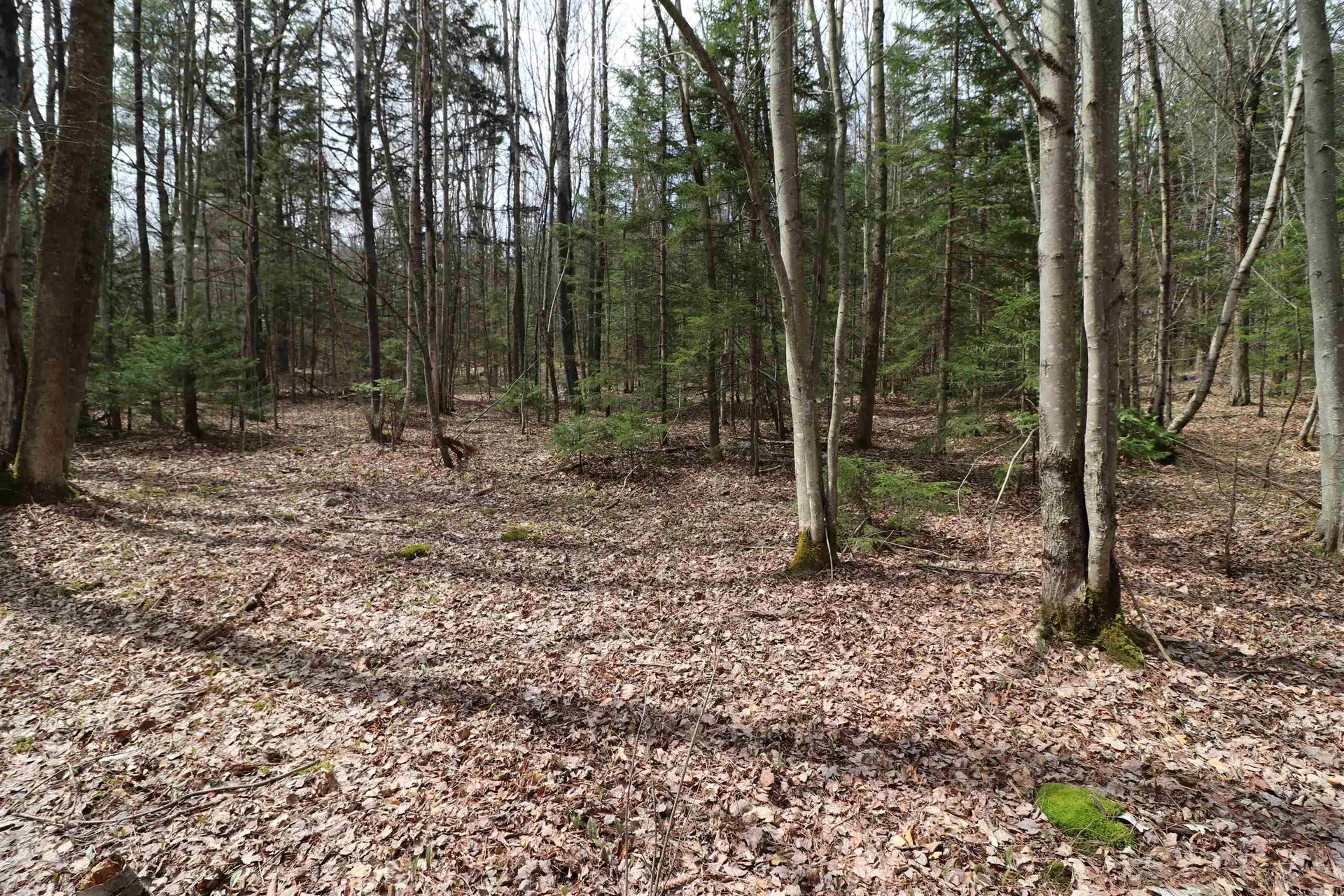 600 Woods Road South Warren VT 05674