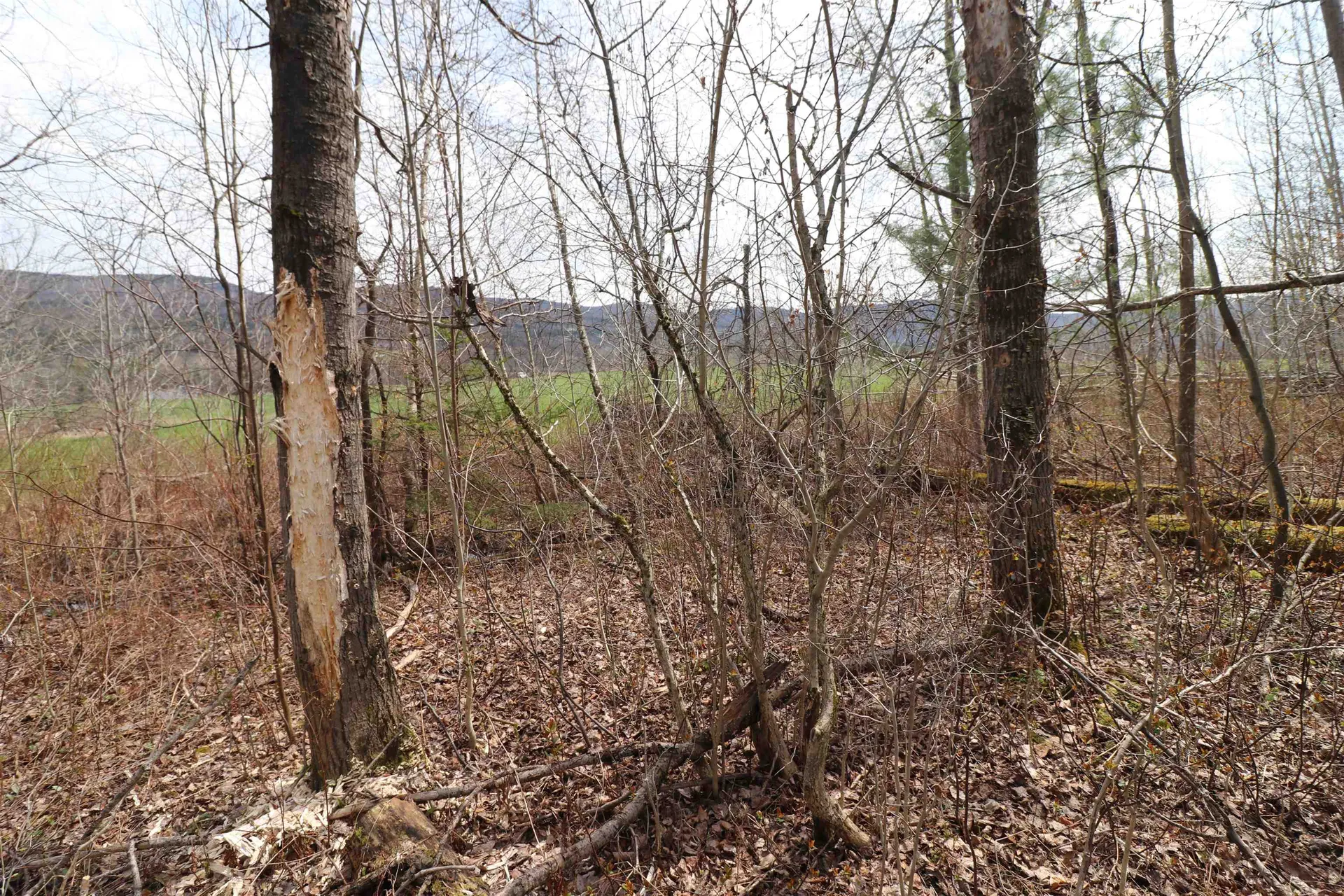 600 Woods Road South Warren VT 05674