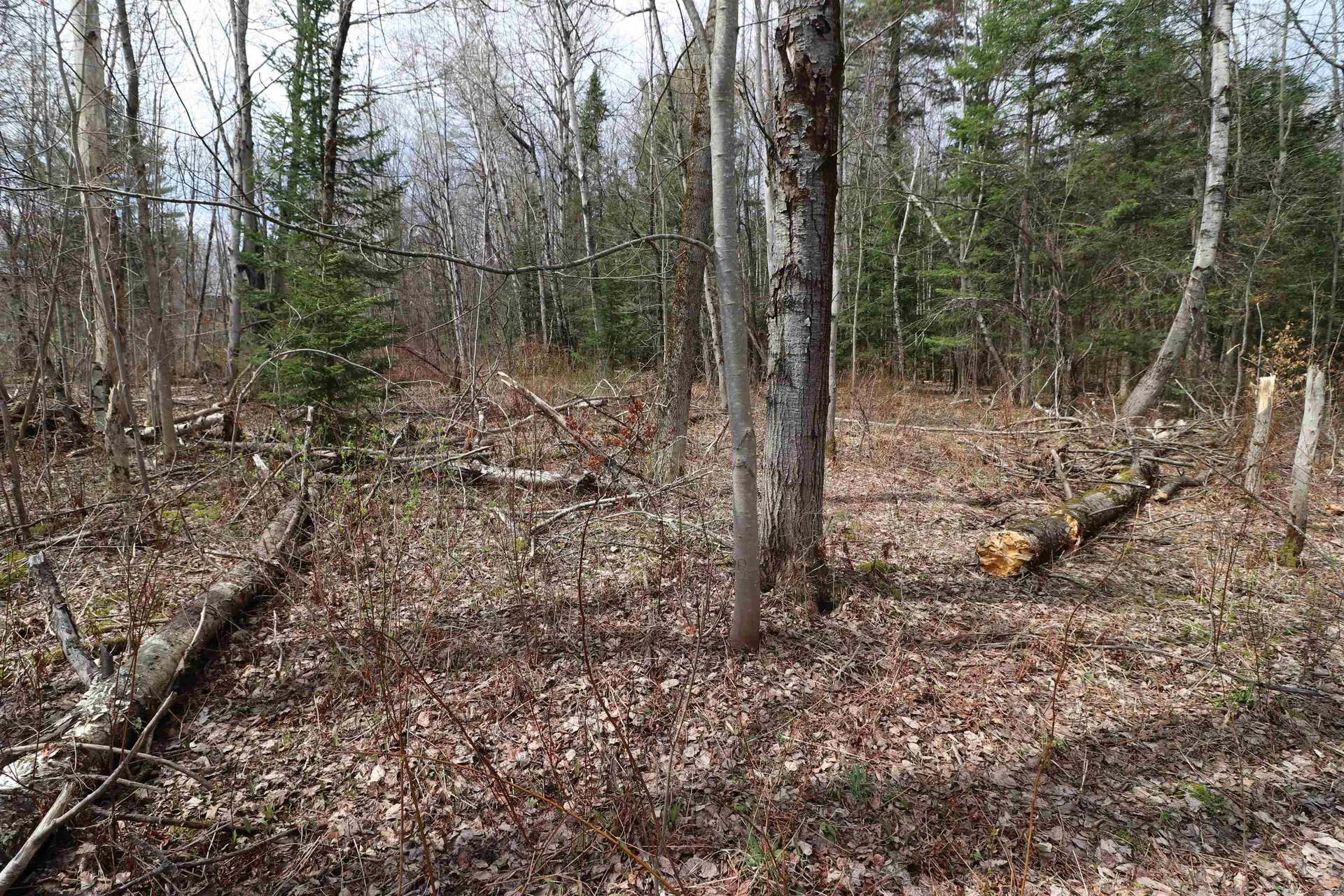 600 Woods Road South Warren VT 05674