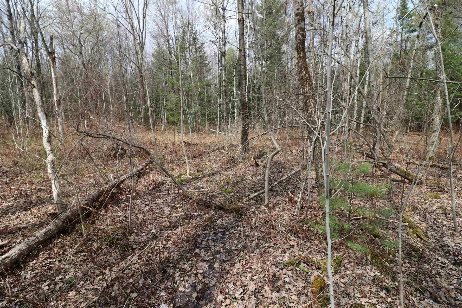 600 Woods Road South Warren VT 05674