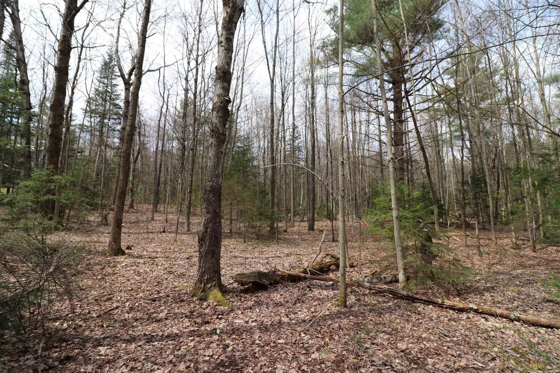 600 Woods Road South Warren VT 05674
