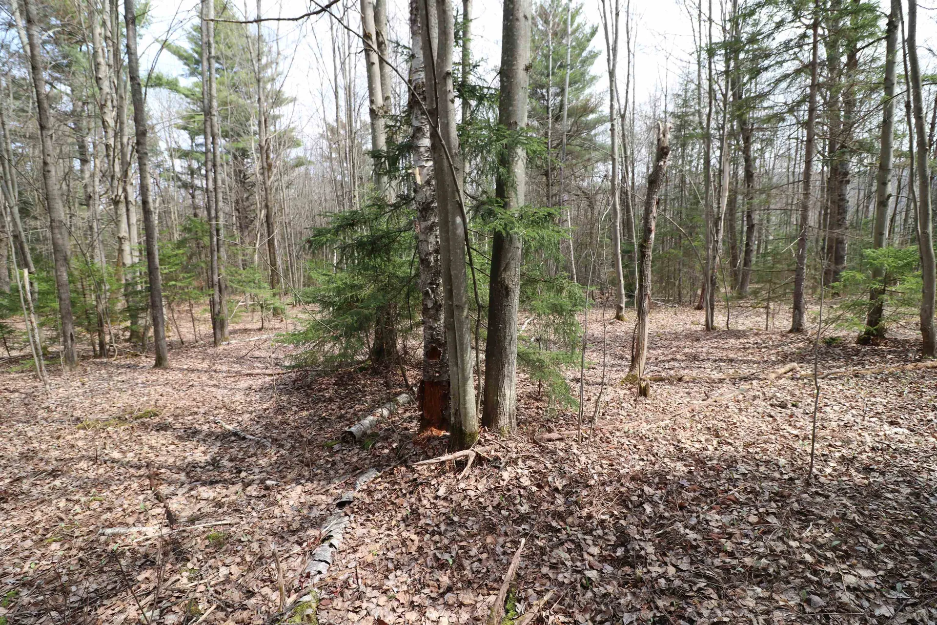 600 Woods Road South Warren VT 05674