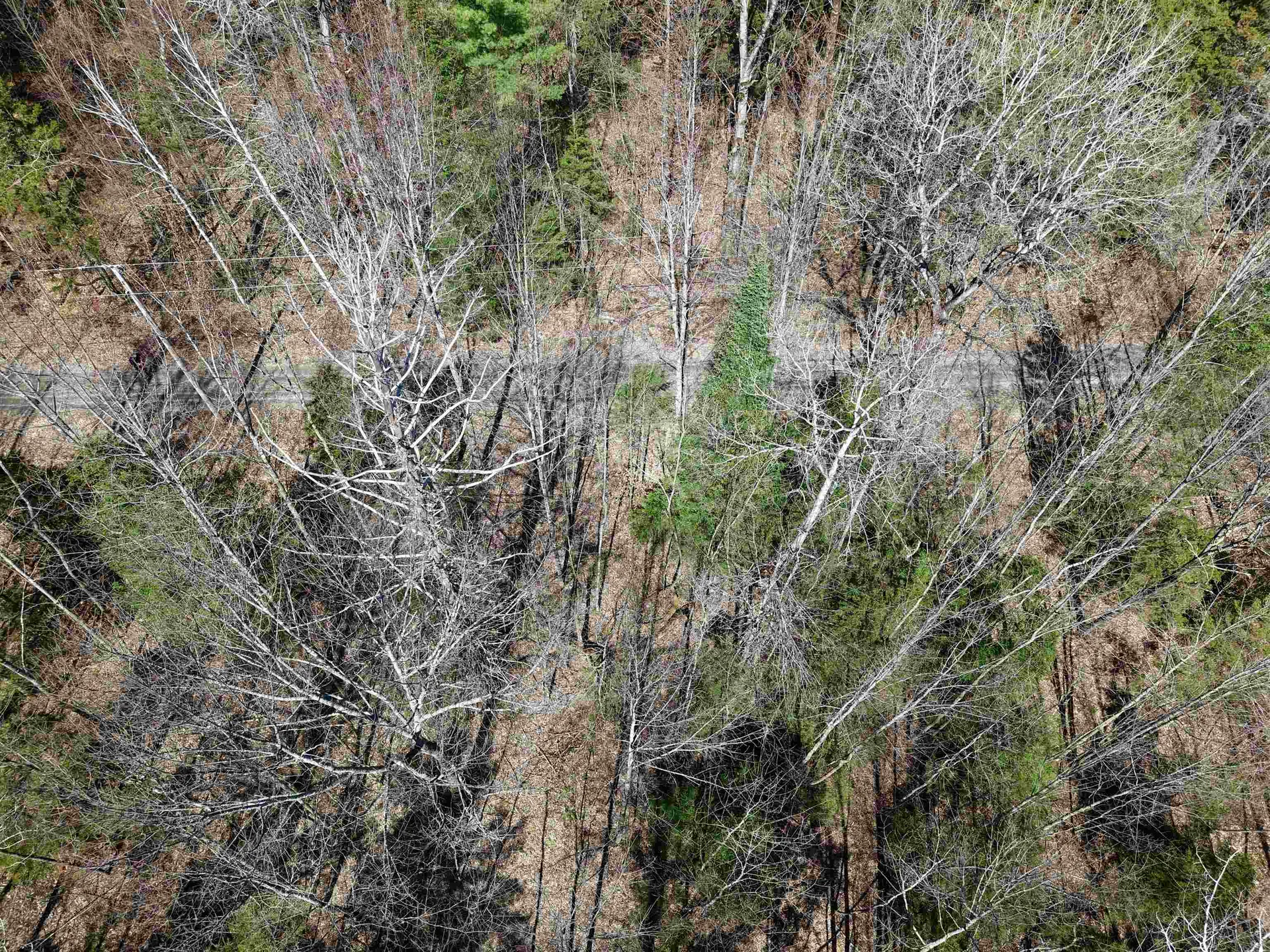 600 Woods Road South Warren VT 05674