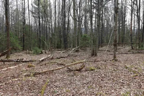 600 Woods Road South Warren VT 05674