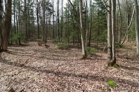 600 Woods Road South Warren VT 05674